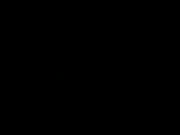 funguy604
