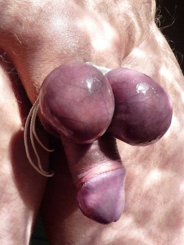 Cock and Ball Play — 18