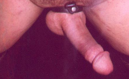 Bisexual Sissy Cuckold — 8