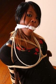 niggers bound — 26