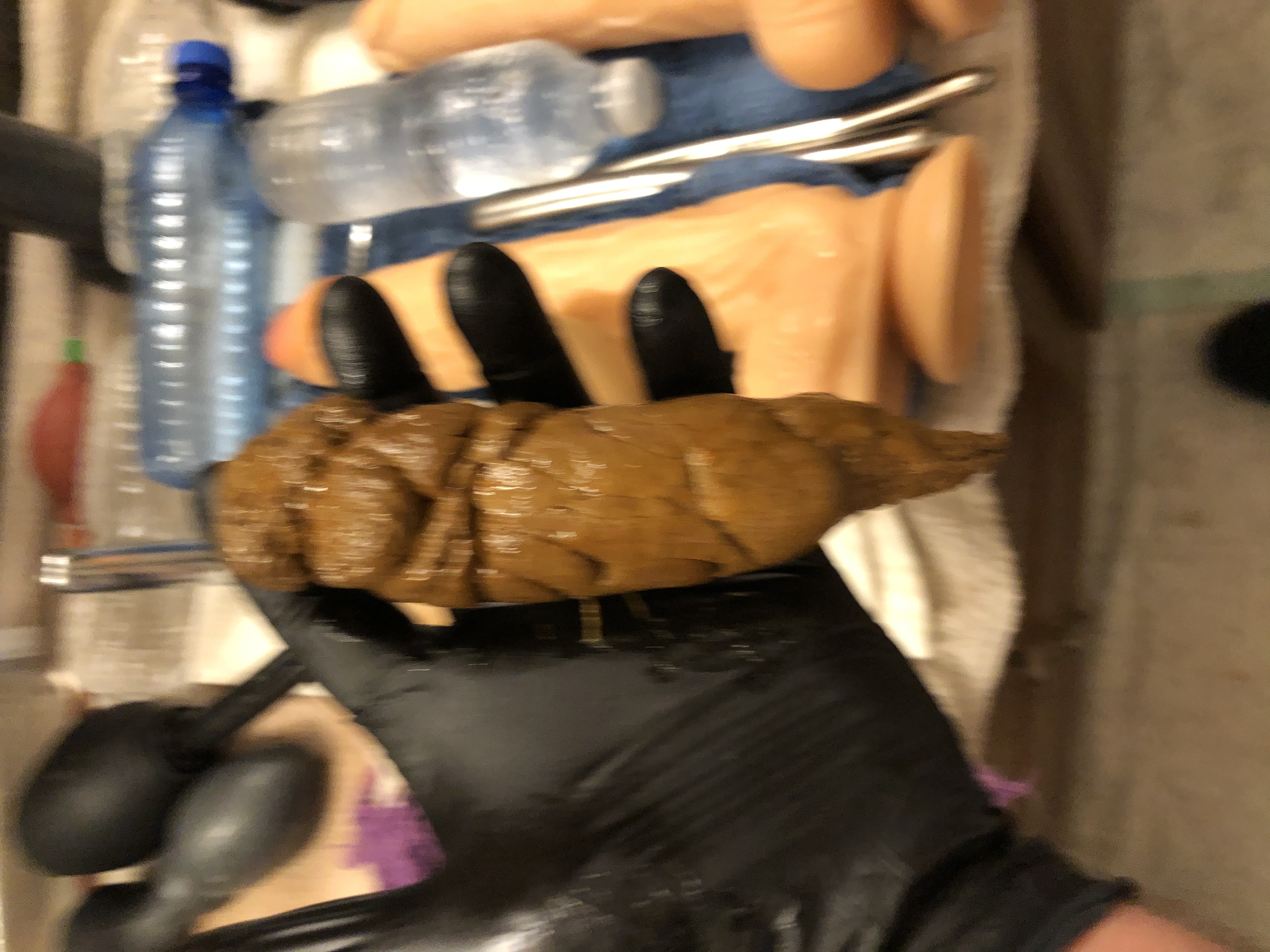 Nasty solo male scat ;) — 35
