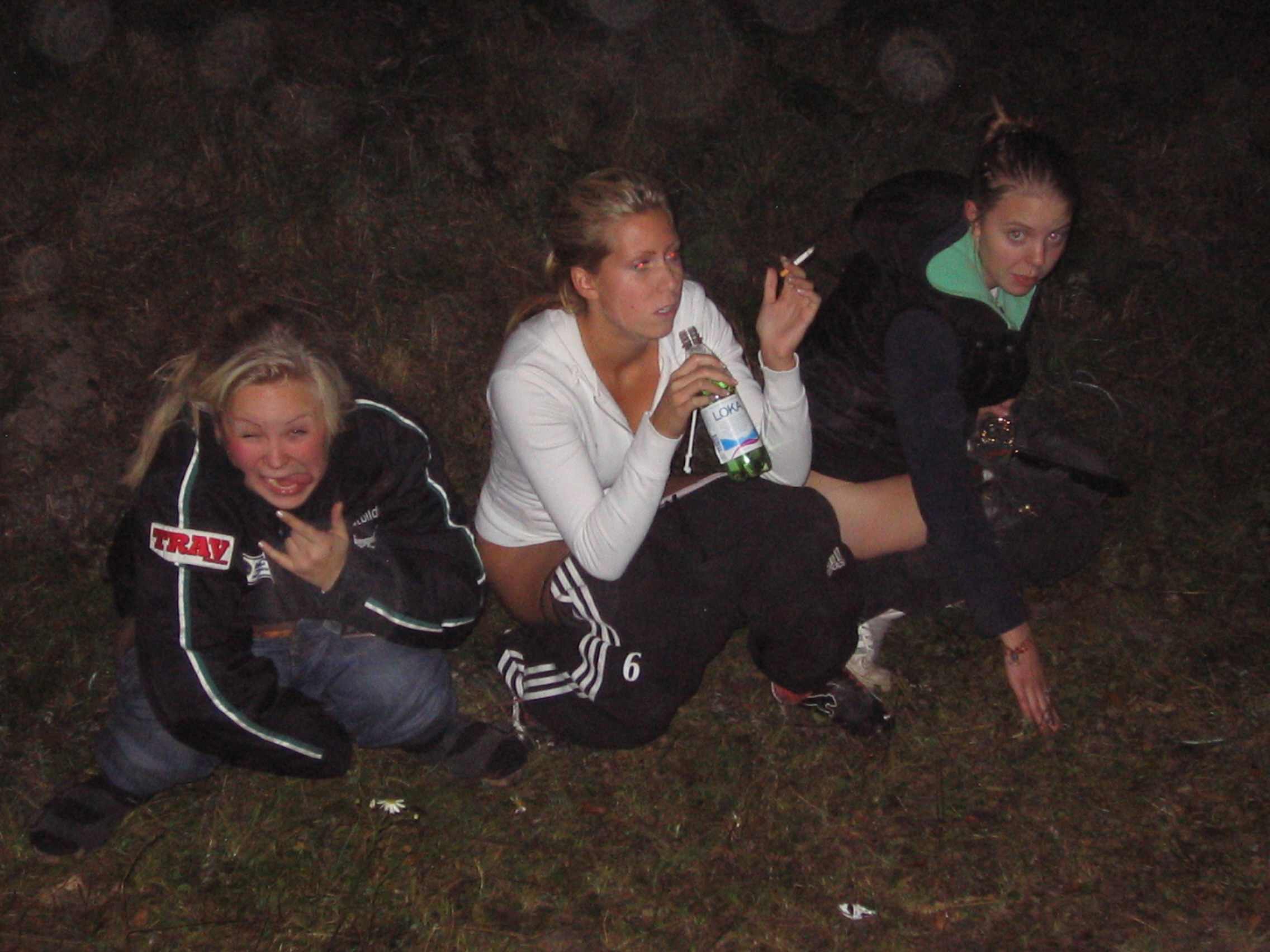 Swedish party babes VII — 33