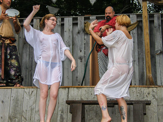 Renaissance Fair Wet T-Shirt — 55
