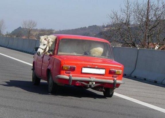 funny — 12
