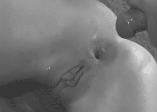 Anal Creampies A20GM — 13